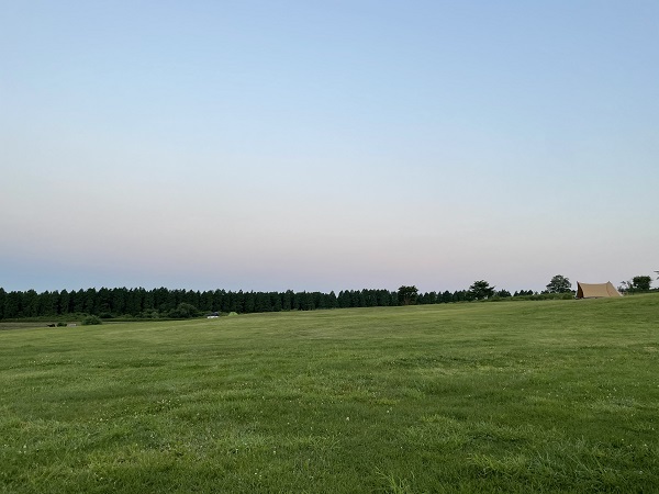 ボイボイキャンプ場の芝生